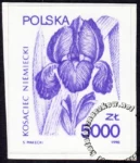 Rośliny lecznicze znaczek numer 3130