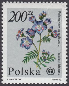 Rośliny ginące w Polsce - 3134