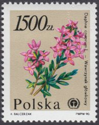 Rośliny ginące w Polsce - 3138