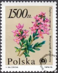 Rośliny ginące w Polsce znaczek numer 3138
