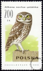 Sowy znaczek numer 3146