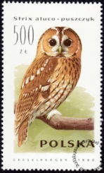 Sowy znaczek numer 3147