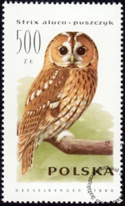 Sowy znaczek numer 3147