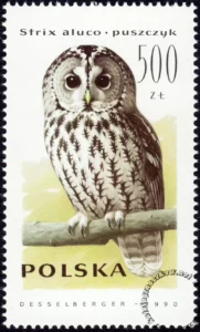 Sowy znaczek numer 3148