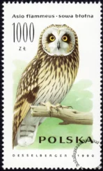 Sowy znaczek numer 3149