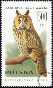 Sowy znaczek numer 3150