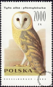 Sowy znaczek numer 3151