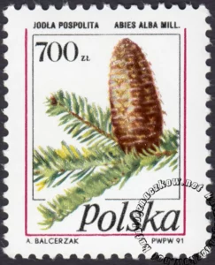 Owoce drzew iglastych znaczek numer 3164