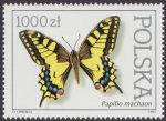 Motyle z kolekcji Instytutu Zoologii PAN w Warszawie - 3195