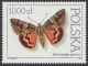 Motyle z kolekcji Instytutu Zoologii PAN w Warszawie - 3196