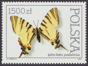 Motyle z kolekcji Instytutu Zoologii PAN w Warszawie - 3198