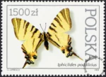Motyle z kolekcji Instytutu Zoologii PAN w Warszawie znaczek numer 3198