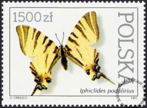 Motyle z kolekcji Instytutu Zoologii PAN w Warszawie znaczek numer 3198