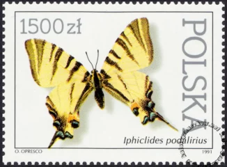 Motyle z kolekcji Instytutu Zoologii PAN w Warszawie znaczek numer 3198
