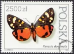 Motyle z kolekcji Instytutu Zoologii PAN w Warszawie znaczek numer 3199
