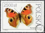 Motyle z kolekcji Instytutu Zoologii PAN w Warszawie znaczek numer 3200