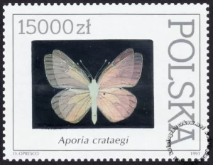 Motyle z kolekcji Instytutu Zoologii PAN w Warszawie znaczek numer 3201