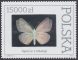 Motyle z kolekcji Instytutu Zoologii PAN w Warszawie - 3201