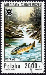 Wodospady polskie znaczek numer 3231