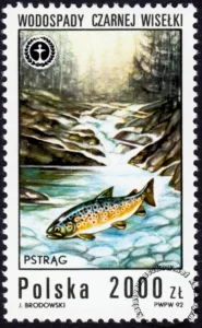 Wodospady polskie znaczek numer 3231