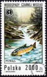 Wodospady polskie znaczek numer 3231