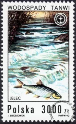 Wodospady polskie znaczek numer 3233