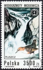 Wodospady polskie znaczek numer 3234