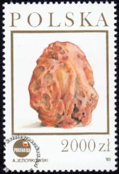 Szlak bursztynowy znaczek numer 3279