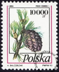 Owoce drzew iglastych znaczek numer 3308
