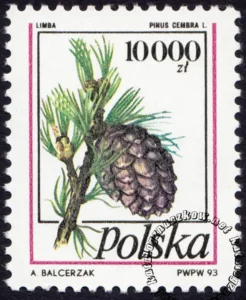 Owoce drzew iglastych znaczek numer 3308