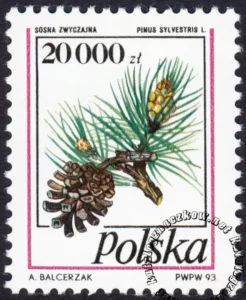 Owoce drzew iglastych znaczek numer 3309