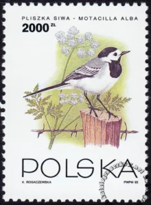 Ptaki ogrodów znaczek numer 3311