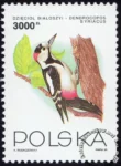 Ptaki ogrodów znaczek numer 3312
