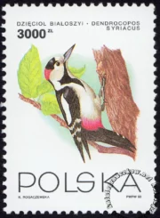 Ptaki ogrodów znaczek numer 3312