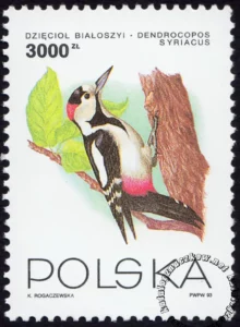 Ptaki ogrodów znaczek numer 3312