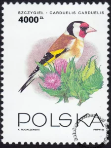 Ptaki ogrodów znaczek numer 3313