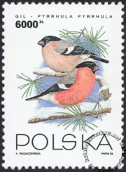 Ptaki ogrodów znaczek numer 3315