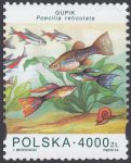 Ryby akwariowe - 3360