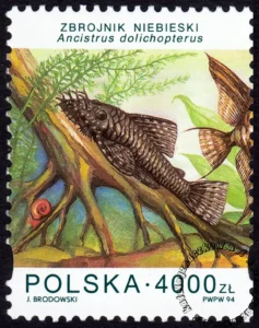Ryby akwariowe znaczek numer 3357
