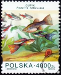 Ryby akwariowe znaczek numer 3360