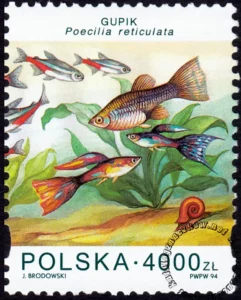 Ryby akwariowe znaczek numer 3360