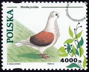 Gołębie hodowlane znaczek numer 3363