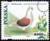 Gołębie hodowlane znaczek numer 3363