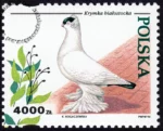 Gołębie hodowlane znaczek numer 3364