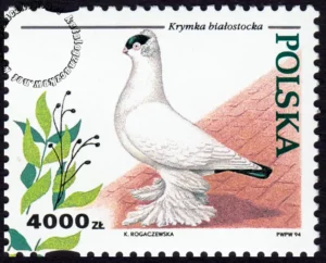 Gołębie hodowlane znaczek numer 3364