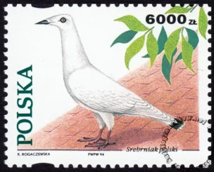 Gołębie hodowlane znaczek numer 3365