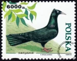 Gołębie hodowlane znaczek numer 3366