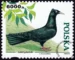 Gołębie hodowlane znaczek numer 3366
