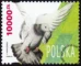 Gołębie hodowlane znaczek numer 3367