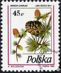 Owoce drzew iglastych znaczek numer 3382